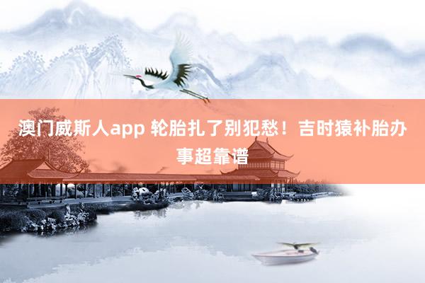 澳门威斯人app 轮胎扎了别犯愁！吉时猿补胎办事超靠谱