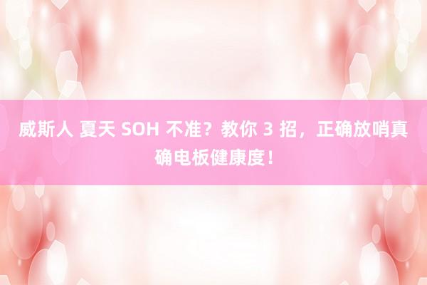 威斯人 夏天 SOH 不准？教你 3 招，正确放哨真确电板健康度！