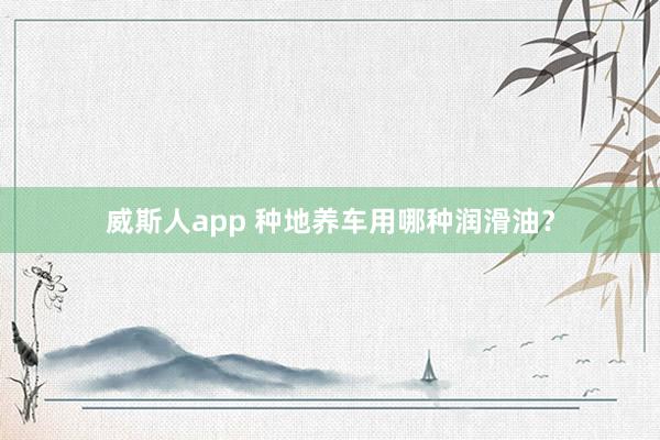 威斯人app 种地养车用哪种润滑油？