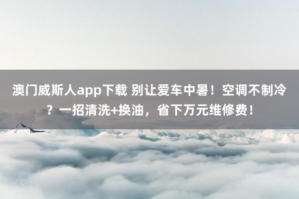 澳门威斯人app下载 别让爱车中暑！空调不制冷？一招清洗+换油，省下万元维修费！