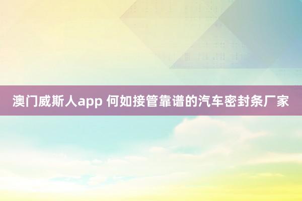 澳门威斯人app 何如接管靠谱的汽车密封条厂家
