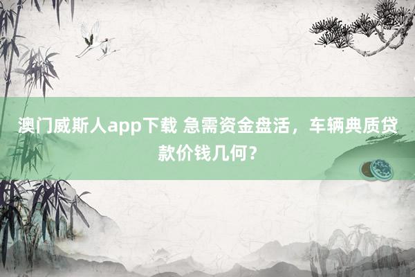 澳门威斯人app下载 急需资金盘活，车辆典质贷款价钱几何？