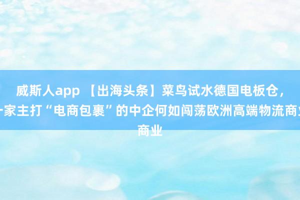 威斯人app 【出海头条】菜鸟试水德国电板仓，一家主打“电商包裹”的中企何如闯荡欧洲高端物流商业