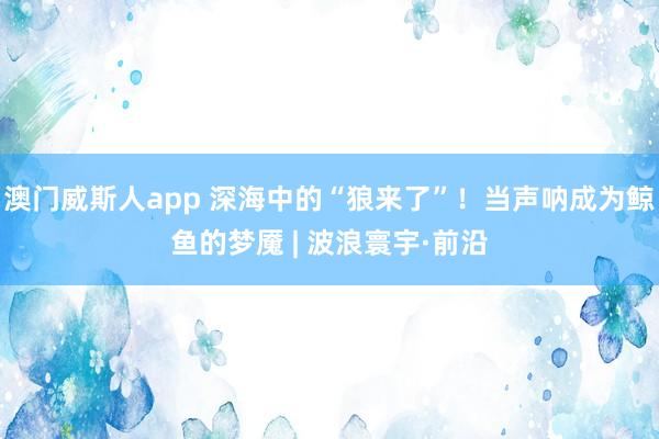 澳门威斯人app 深海中的“狼来了”！当声呐成为鲸鱼的梦魇 | 波浪寰宇·前沿