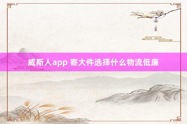 威斯人app 寄大件选择什么物流低廉
