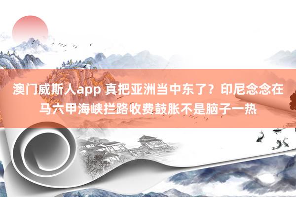 澳门威斯人app 真把亚洲当中东了？印尼念念在马六甲海峡拦路收费鼓胀不是脑子一热