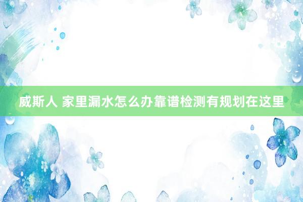 威斯人 家里漏水怎么办靠谱检测有规划在这里