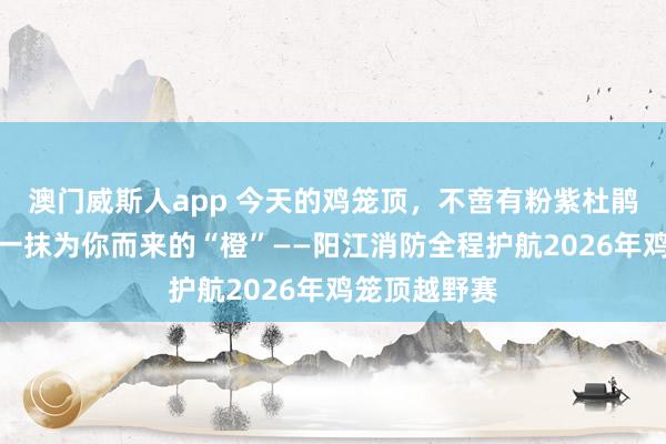 澳门威斯人app 今天的鸡笼顶，不啻有粉紫杜鹃花海，还有一抹为你而来的“橙”——阳江消防全程护航2026年鸡笼顶越野赛