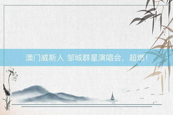 澳门威斯人 邹城群星演唱会，超燃！