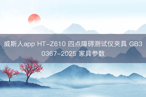威斯人app HT-Z610 四点障碍测试仪夹具 GB30367-2025 家具参数